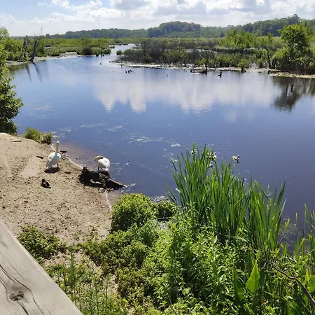 Lägenhet Zlota Muszla Podczele *