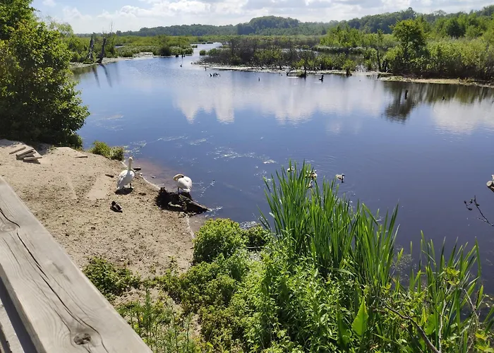 Lägenhet Zlota Muszla Podczele *
